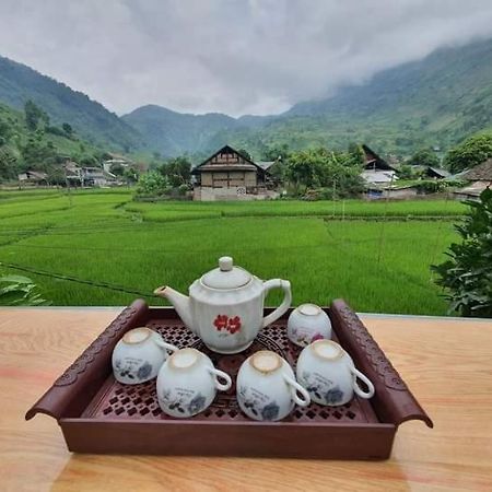 Organic Farm Homestay Sapa Εξωτερικό φωτογραφία
