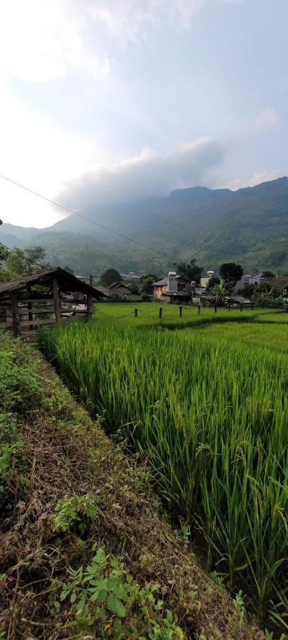 Organic Farm Homestay Sapa Εξωτερικό φωτογραφία
