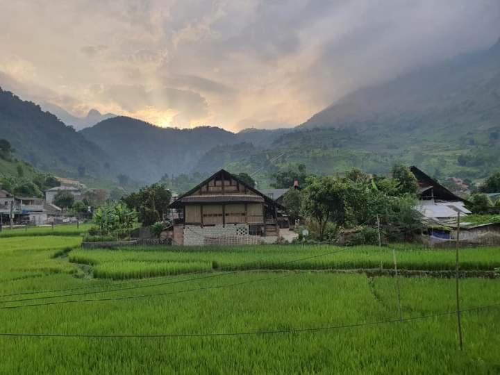 Organic Farm Homestay Sapa Εξωτερικό φωτογραφία