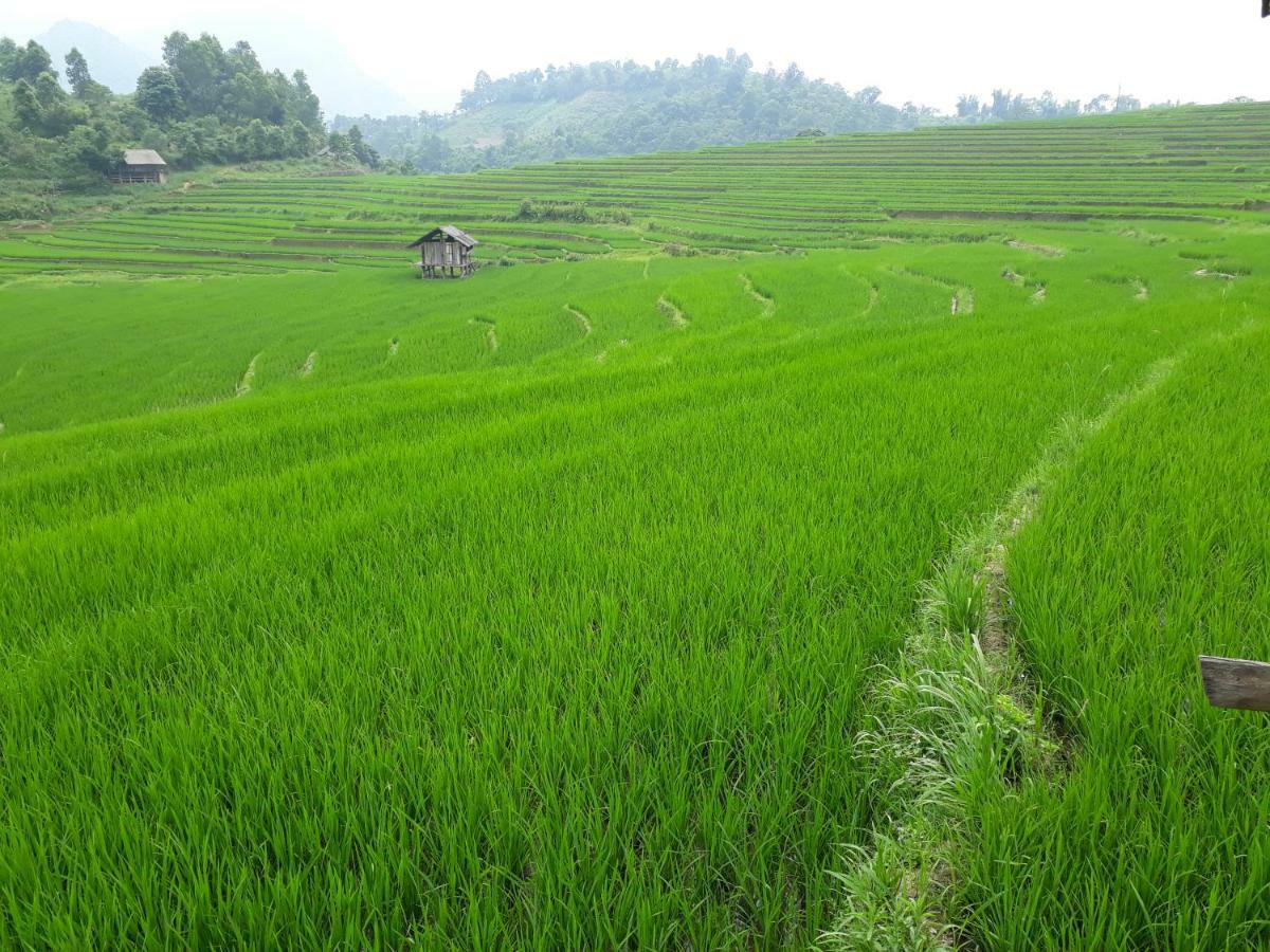 Organic Farm Homestay Sapa Εξωτερικό φωτογραφία